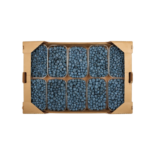 Blueberry box