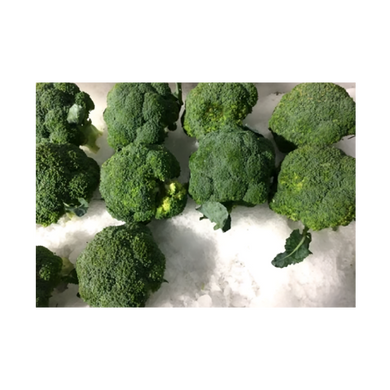 Broccoli Ice Box