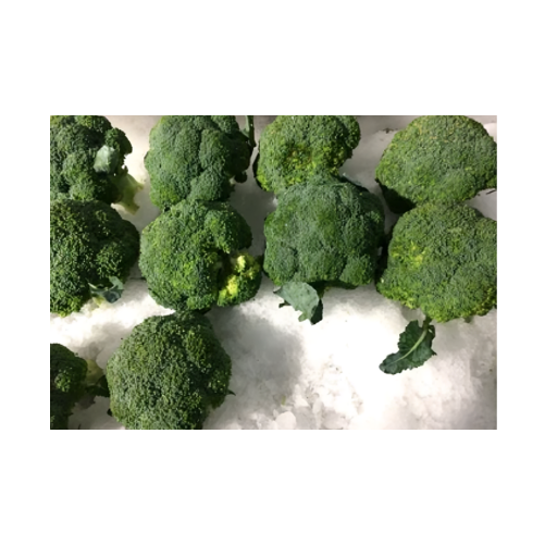 Broccoli Ice Box