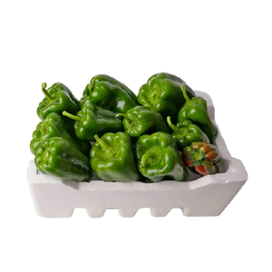 Capsicum