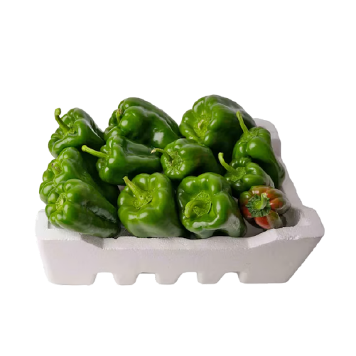 Capsicum