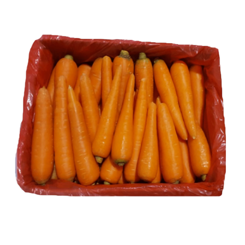 Carrot Box