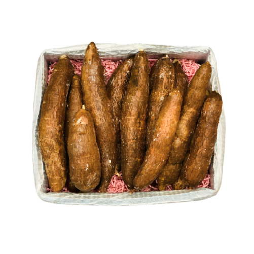 Cassava