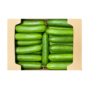 Cucumber