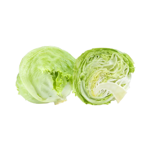 Iceberg Lettuce