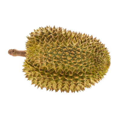 Jack fruit