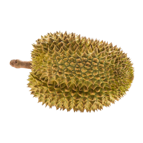 Jack fruit