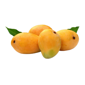 Mango alphonso