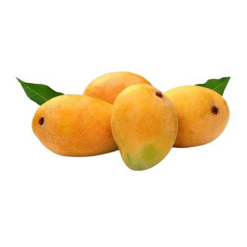 Mango alphonso