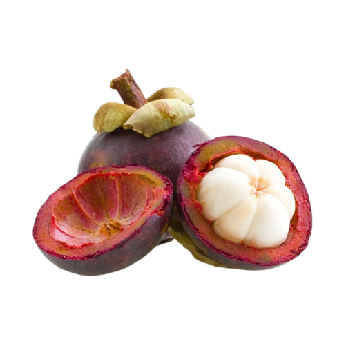 Mangosteen