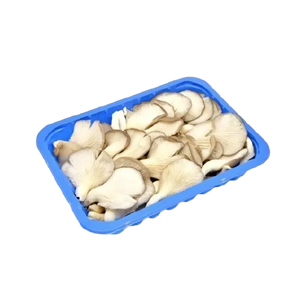 Tray Mushroom