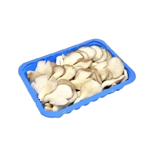Tray Mushroom