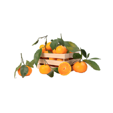 Leafy Clementine