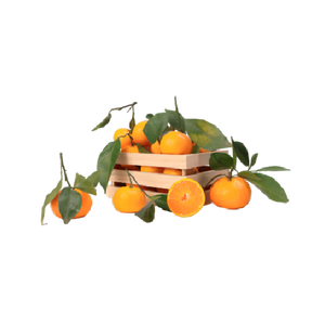 Leafy Clementine