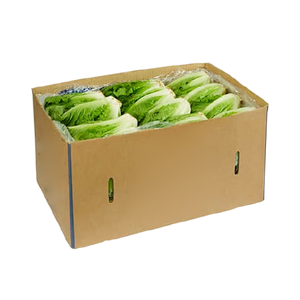 Cos Lettuce
