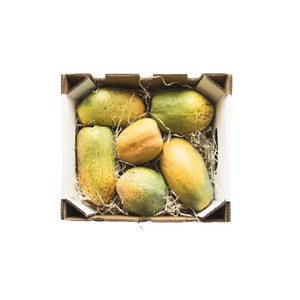 Papaya