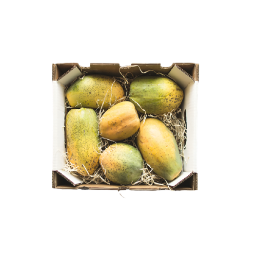 Papaya