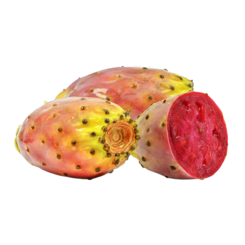 prickly pear cactus calories Prickly Pear