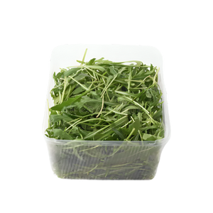 Rocket Salad