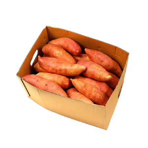 Sweet Potato