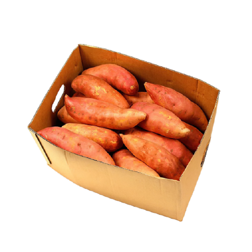 Sweet Potato