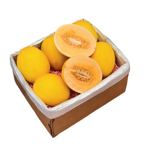 Yellow Melon