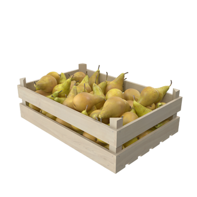 Conference Pear