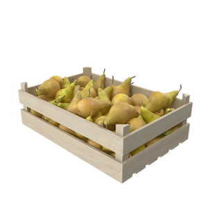 Conference Pear