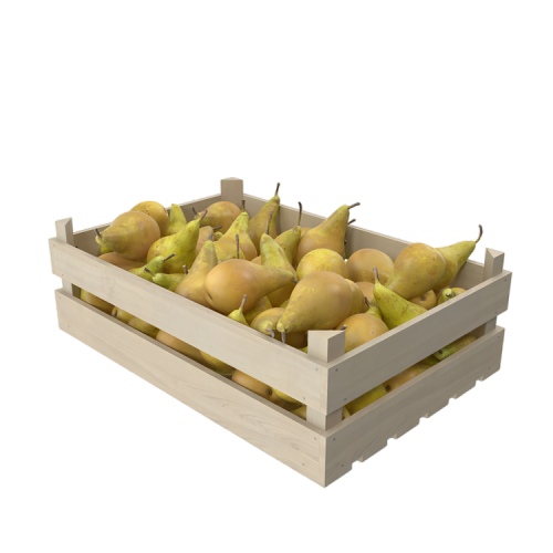 Conference Pear