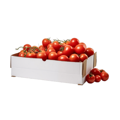 Vine Tomatoes 5 kg box