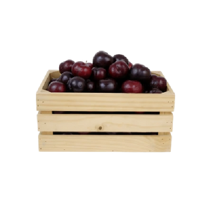 Black Plum