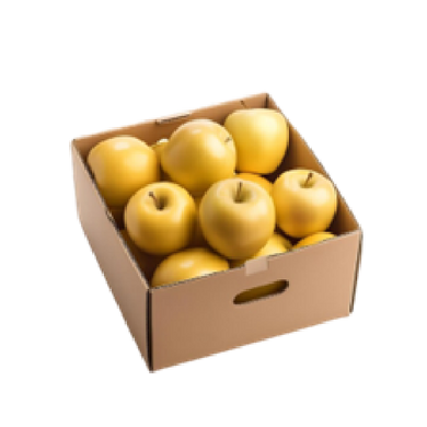 Golden Delicious Apple