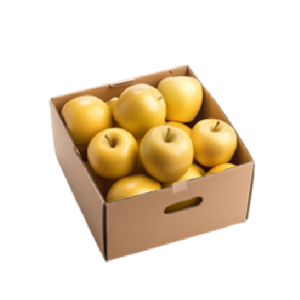 Golden Delicious Apple