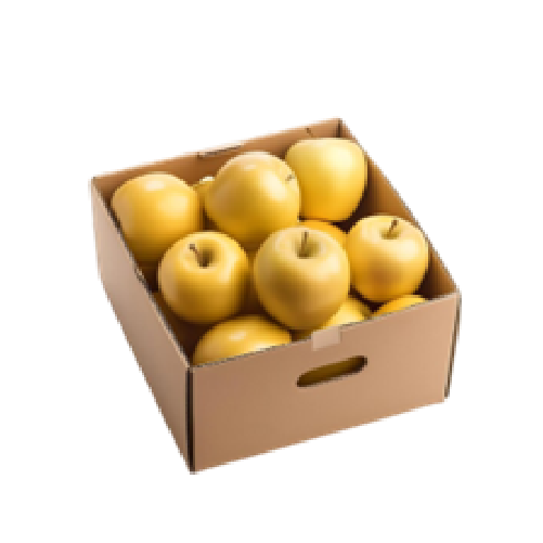 Golden Delicious Apple