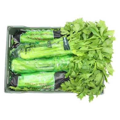 Celery