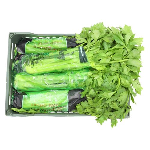 Celery