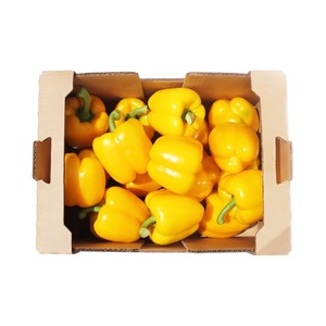 Yellow Pepper