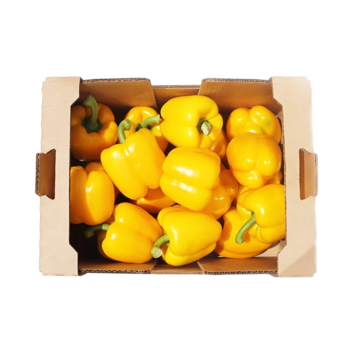 Yellow Pepper