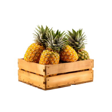 Pineapple Tray