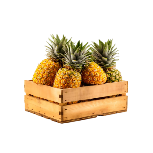 Pineapple Tray