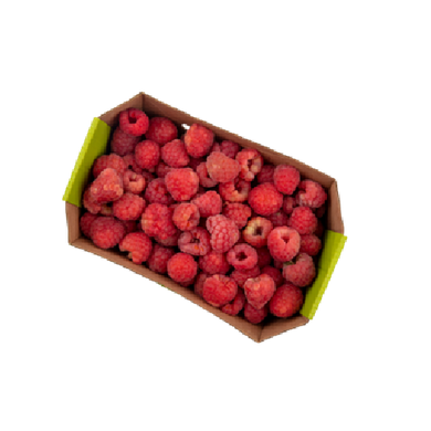 Raspberry Tray