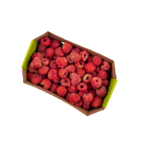 Raspberry Tray