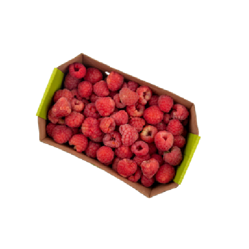 Raspberry Tray