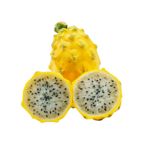 Yellow Pataya
