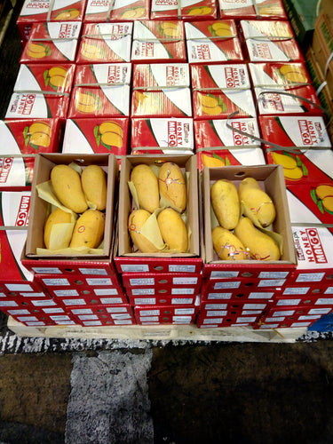 Small Mango Box 4 Pieces
