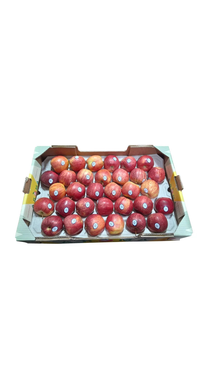 Gala apple