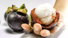Load image into Gallery viewer, Mangosteen