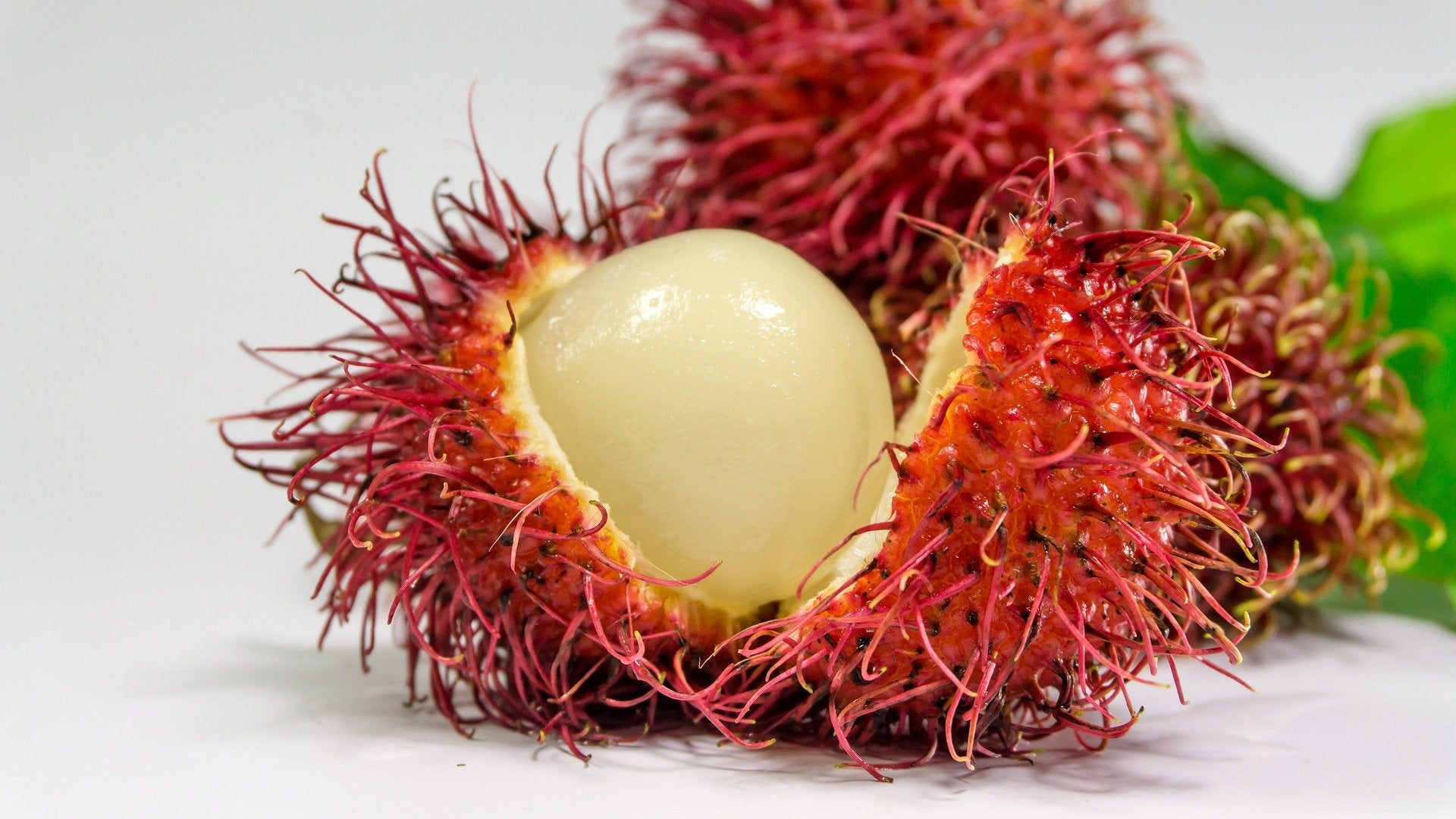 Rambutan – Tootyfruity Basket and Box